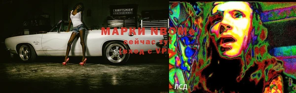 прущие грибы Богородск