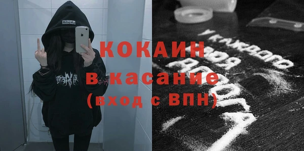 прущие грибы Богородск