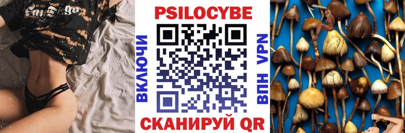 shop Telegram  как найти наркотики  Тосно  Галлюциногенные грибы Psilocybe 